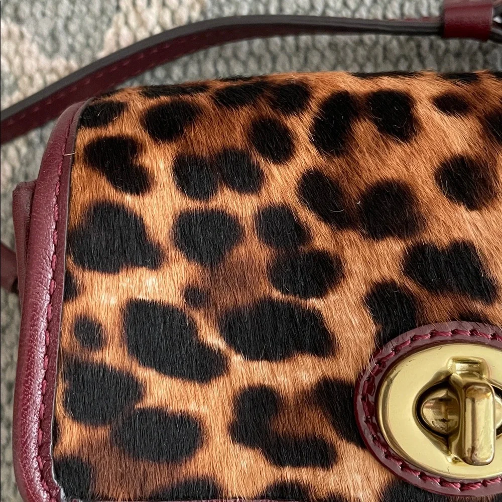 COACH Pony Hair & Leather Crossbody Bag